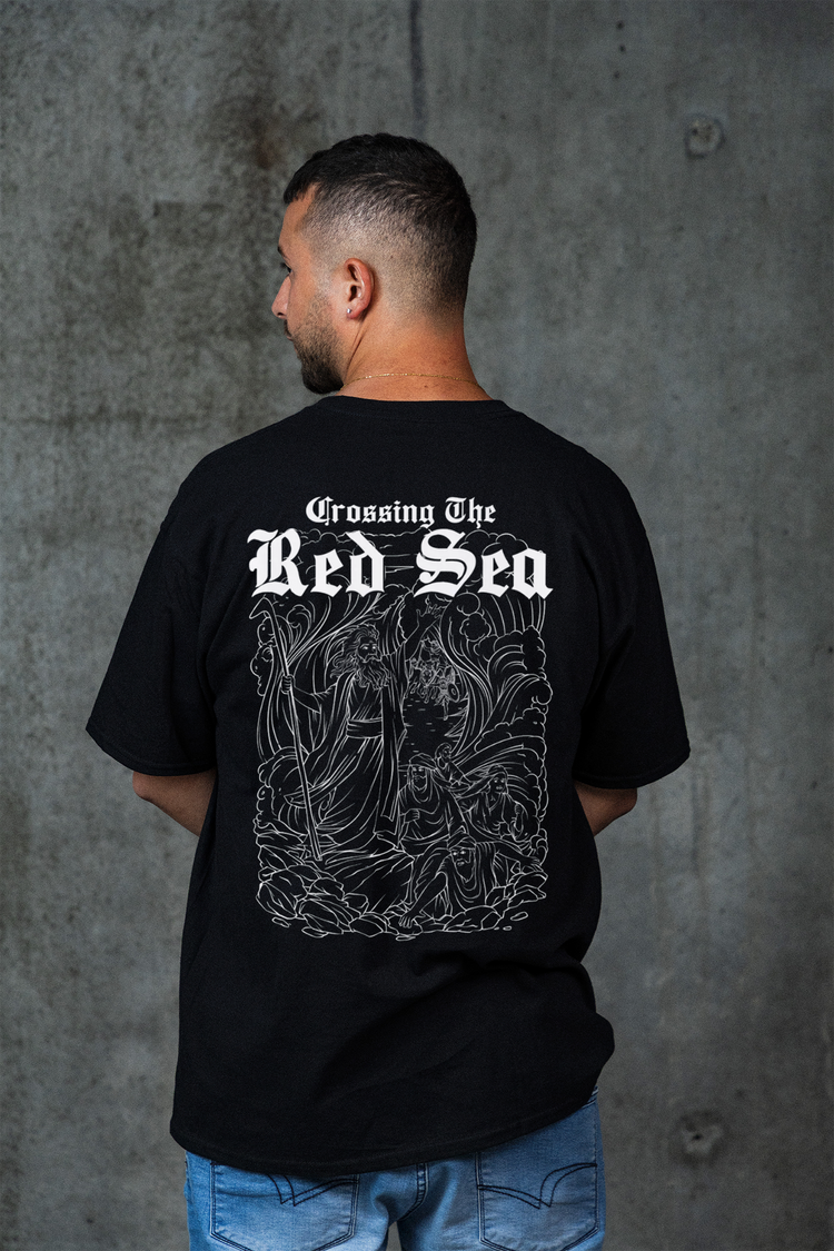 NOAH'S Red Sea BW