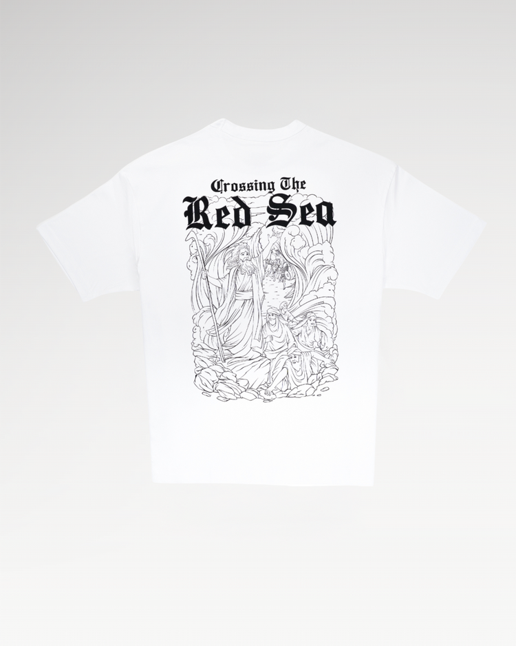 NOAH'S Red Sea BW