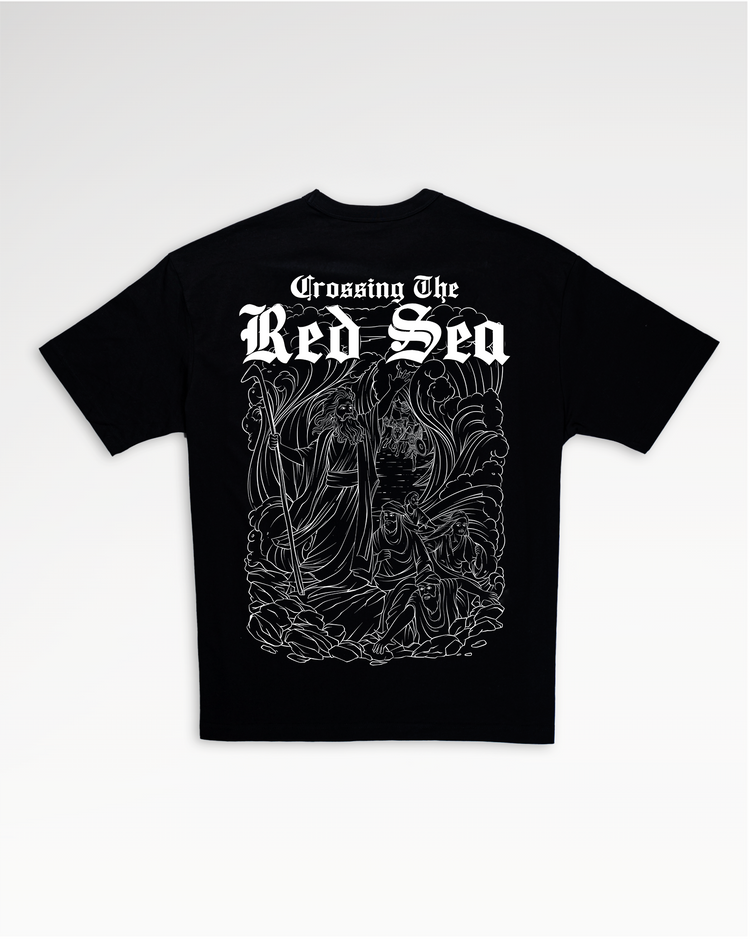 NOAH'S Red Sea BW