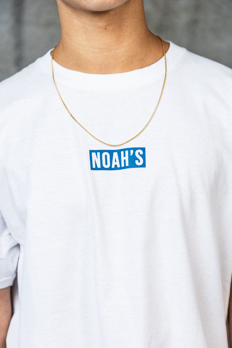 NOAH'S Promise 939