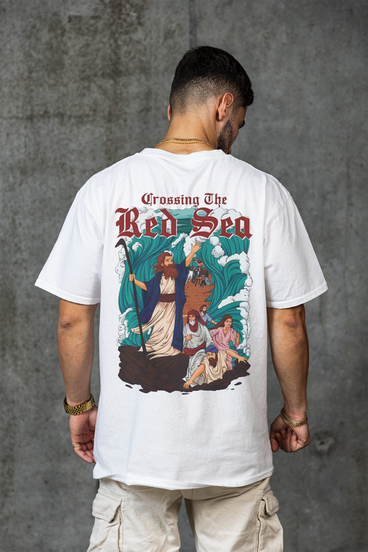 NOAH'S Red Sea