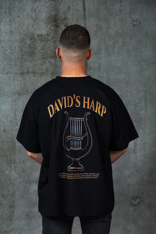 NOAH'S David's Harp