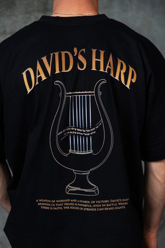 NOAH'S David's Harp