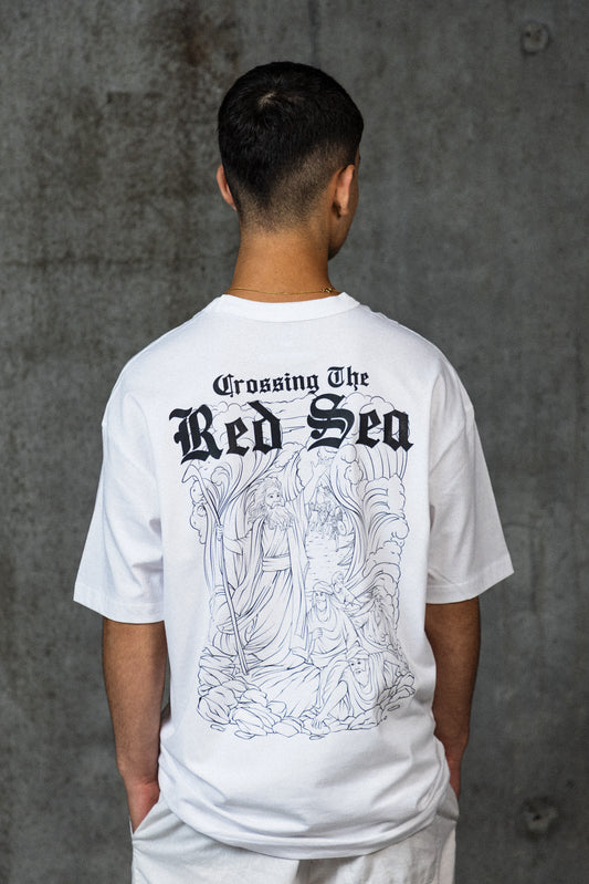 NOAH'S Red Sea BW