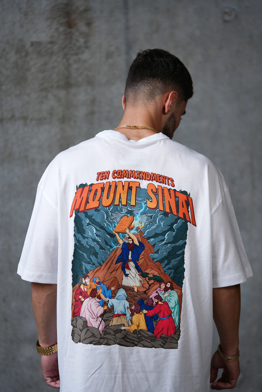 NOAH'S Sinai