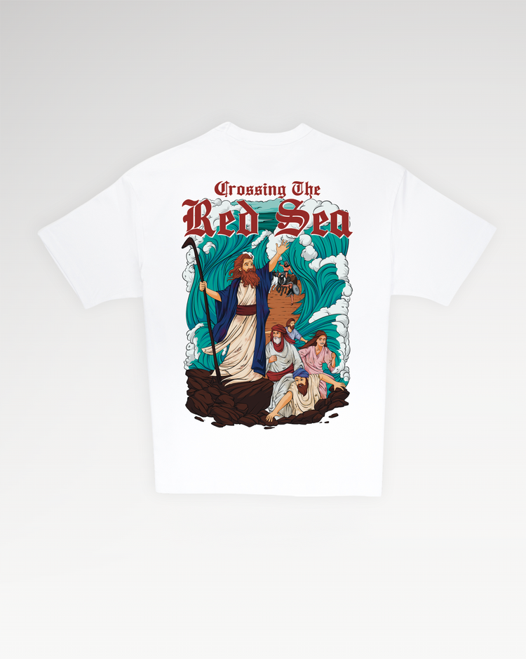 NOAH'S Red Sea
